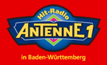 Antenne1-Interview 1995